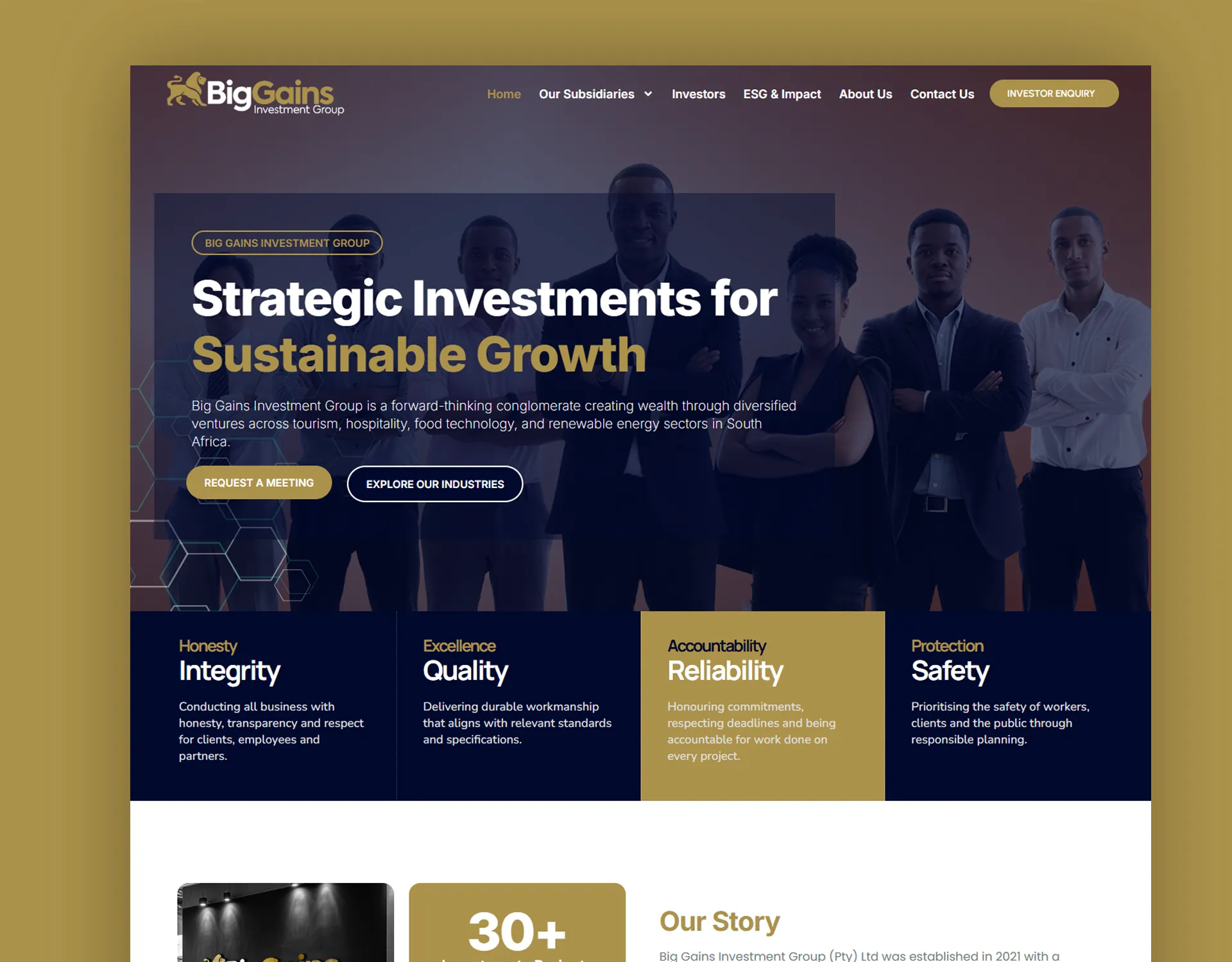 Big Gain Investments website design